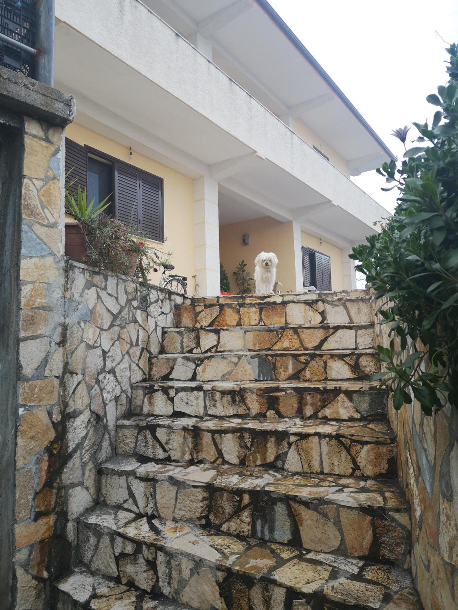 Private House Durres Villa Ruang foto